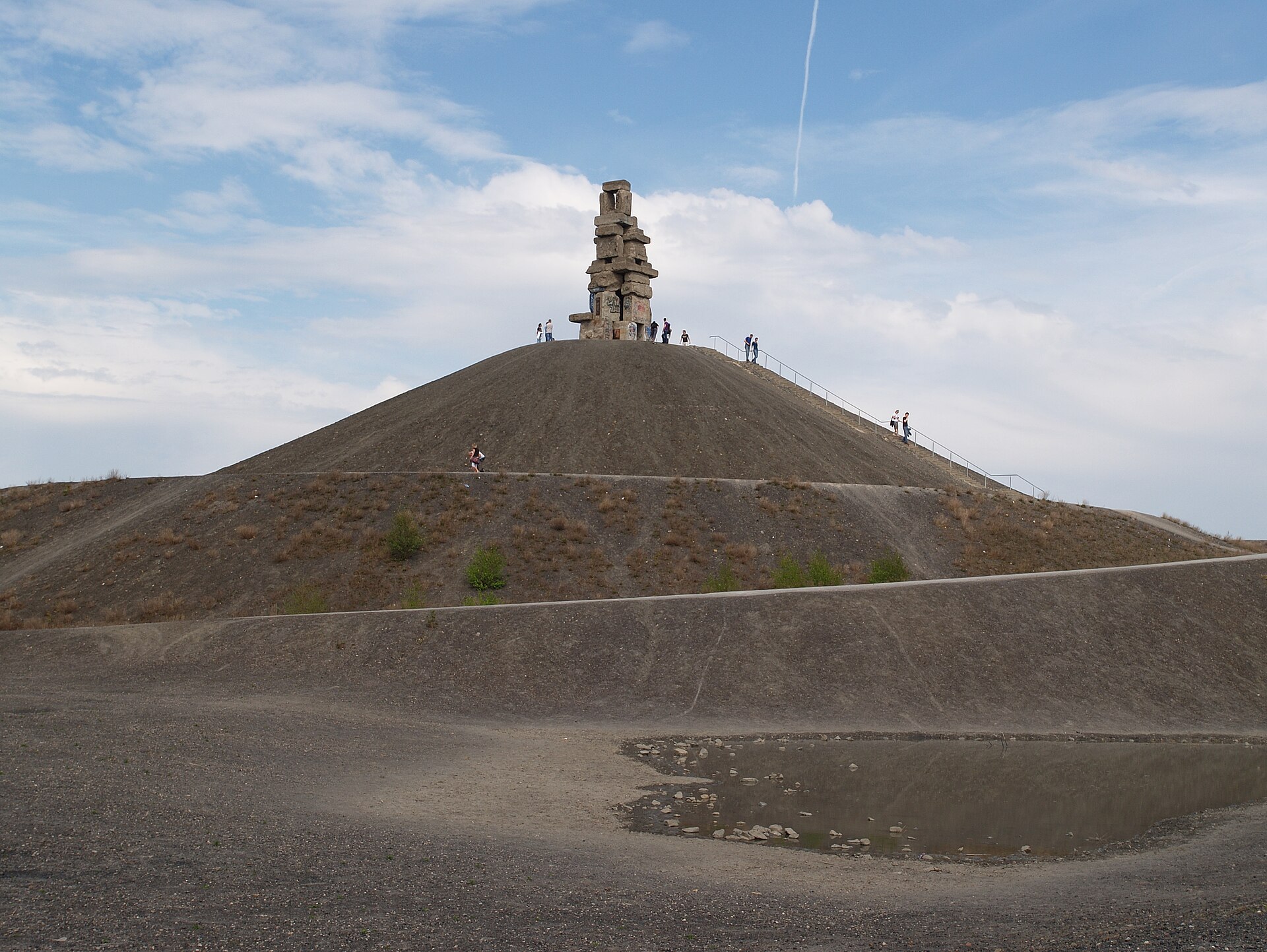 Bewaldete Halde Rheinelbe in Gelsenkirchen mit dichtem Baumbestand